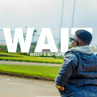 Meezy - Wait