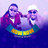 Radio & Weasel - Now Now