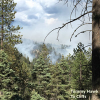 Tommy Hawk - To Cliffs