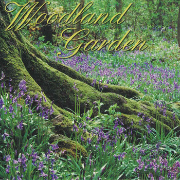 George Jamison - Woodland Garden
