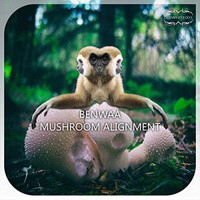 Benwaa - Mushroom Alignment