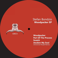 Stefan Bondzio - Woodpacker - EP