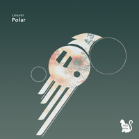 coaxer - Polar