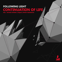 Following Light - Continuation of Life
