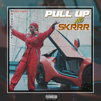 Paigey Cakey / - Pull-Up & Skrr