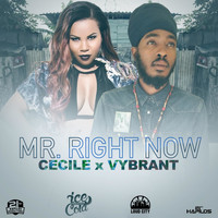 Cecile - Mr. Right Now