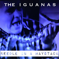 The Iguanas - Needle in a Haystack
