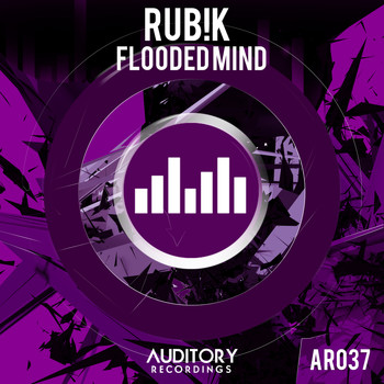 Rub!k - Flooded Mind