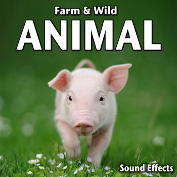 Sound Ideas - Farm & Wild Animal Sound Effects