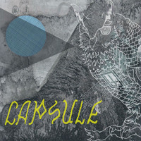 Capsule - No Ghost