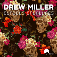 Drew Miller - Curious Creatures