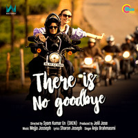 Anju - There is No Goodbye