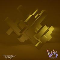 Thundercat - Final Fight (Explicit)