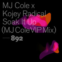 MJ Cole and Kojey Radical - Soak It Up (MJ Cole VIP Mix)