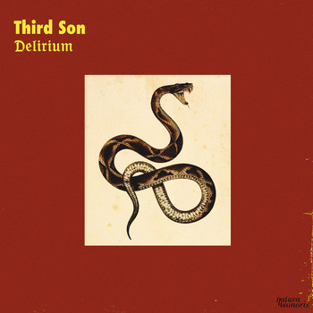 Third Son - Delirium