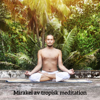 Blandade artister - Mirakel av tropisk meditation (Exotisk mantra, Yoga med naturen, Ayurveda paradiset, Djungel medvetenhet)