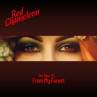 Red Chameleon - The Best Of… From My Forest