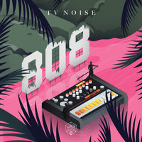 TV Noise - 808