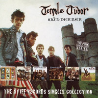 Tenpole Tudor - Wünderbar (The Stiff Records Singles Collection)