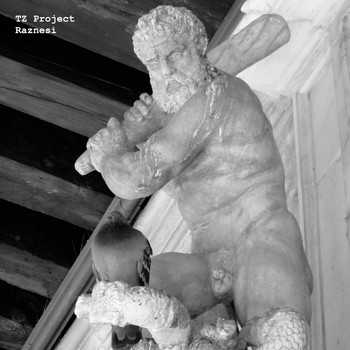 TZ Project - Raznesi
