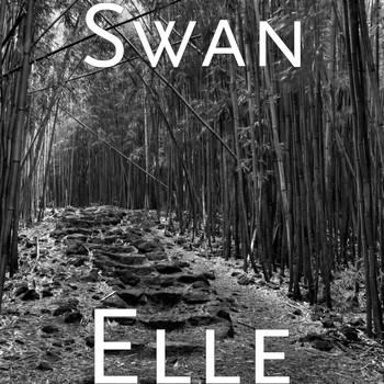 Swan - Elle