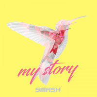 Smash - My Story