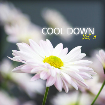 Various Artists - Cool Down, Vol. 5