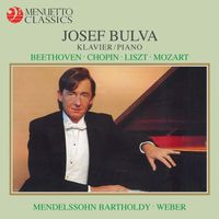 Josef Bulva - Josef Bulva Plays Concert Pieces and Sonatas
