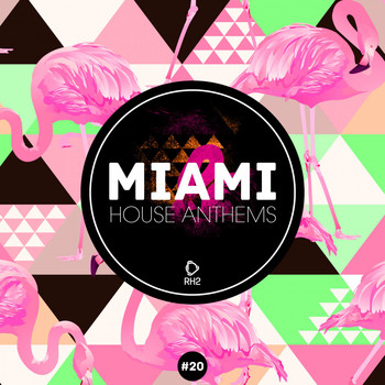 Various Artists - Miami House Anthems, Vol. 20