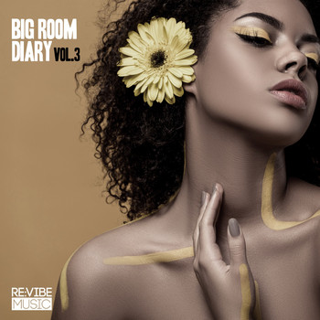 Various Artists - Big Room Diary, Vol. 3