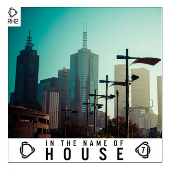 Various Artists - In the Name of House, Vol. 7