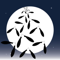 TSUKI - Tsuki