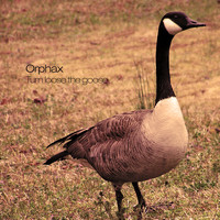 Orphax - Turn Loose the Goose