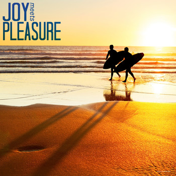 Various Artists - Joy Meets Pleasure