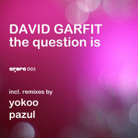 David Garfit - The Question Is