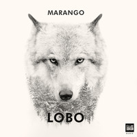 Marango - Lobo