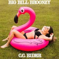 Big Bill Broonzy - C.C. Rider (Live)