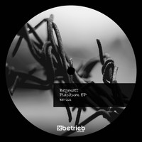 Begmatt - Placitum EP