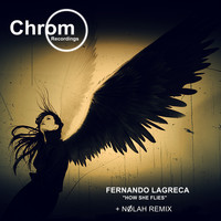 Fernando Lagreca - How She Flies