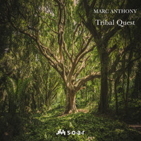 Marc Anthony - Tribal Quest