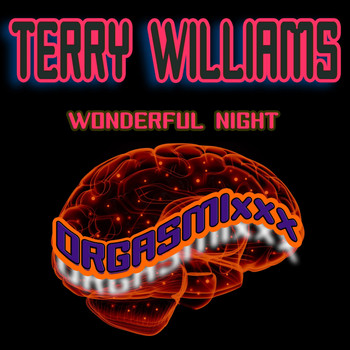 Terry Williams - Wonderful Night