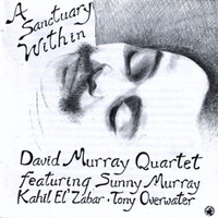 David Murray - A Sanctuary Within