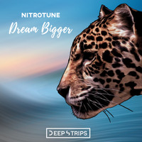 Nitrotune - Dream Bigger