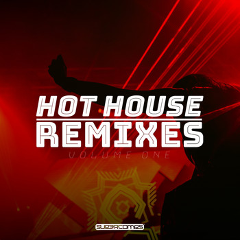 Various Artists - Hot House Remixes, Vol. 1