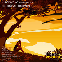 NRDFCE - Contemplation / Testament