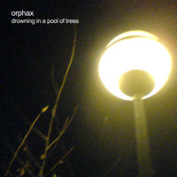 Orphax - Drowning in a Pool of Trees