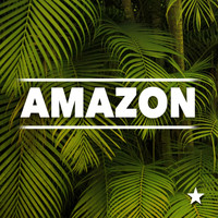 Amazon - The Ring Of Life