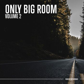 Various Artists - Only Big Room (Volume 2)