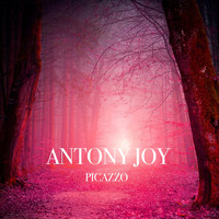 Antony Joy - Picazzo