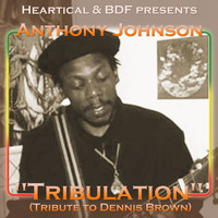 Anthony Johnson & BDF - Tribulation (Tribute to Dennis Brown)